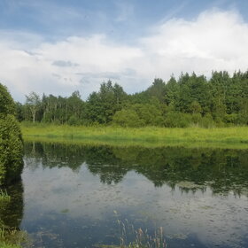 ���� �����